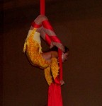 Fabric Theater Act