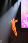 PAWs at The Avalon Theater in Hollywood with Le PeTiT CiRqUe