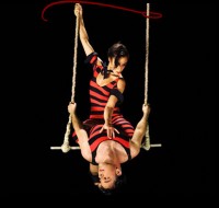 Aerobella Trapeze