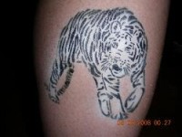 Airbrush Gypsy