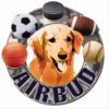 Air Bud-Canine Star