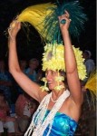 Hula Shows