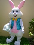 easter bunny