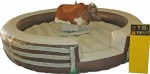 Mechanical Bull