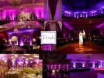 Purple Up Lighting Samples