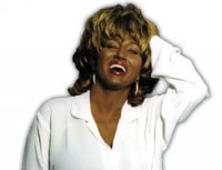 Almost Tina Turner - Tina Turne...