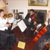Amadeus String Ensembles