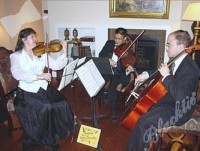 Amadeus String Ensembles