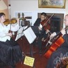 Amadeus String Ensembles