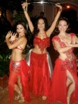 Belly Dancers Belly Dancers