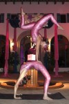 pinkduobridge pinkduobridge