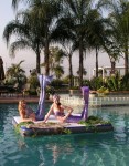 Float/stage/ mermaids Float/stage/ mermaids