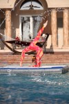 Float/stage/contortionist Float/stage/contortionist