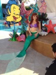 Aerial Mermaid Aerial Mermaid