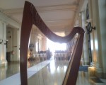 Harp at Flood Harp at Flood