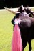 Unicorn Party