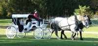 Andrusz Carriage Service - Chauffeur in , 