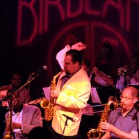 Andy Farber & His Orchestra - 1920s Era Entertainment in White Plains, New York