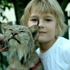 Animals for Awareness