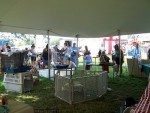 Our Annual Gig at Chicago Ridge Ridgefest Our Annual Gig at Chicago Ridge Ridgefest