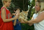 Lots of Furry Critters Join Us, Too. Lots of Furry Critters Join Us, Too.