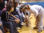 Lynx "Kodiak" Making His Rounds at a High School Lynx "Kodiak" Making His Rounds at a High School