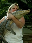 Gator "Boots" Gets Ready For Show and Tell Gator "Boots" Gets Ready For Show and Tell