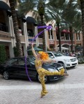 Ribbon Dancer Ribbon Dancer
