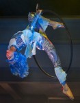 Aerial Hoop Aerial Hoop