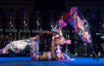 Acro-stilt Duo Acro-stilt Duo
