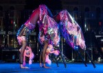 Acro-Stilts Acro-Stilts