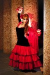 flamenco dancer