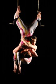 Arachne Aerial Arts