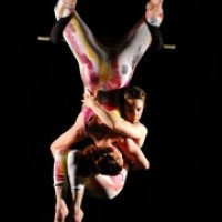 Arachne Aerial Arts - Traveling Circus in Newark, Ohio
