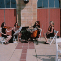 Arco Strings