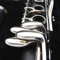 Arielle Perrusio - Woodwind Musician in Peekskill, New York