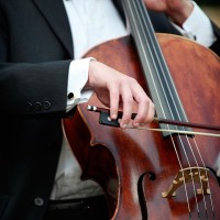 Arioso Strings - Bands & Groups in Apex, North Carolina