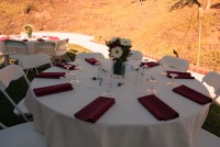 Ashleys Party Rentals - Limo Services Company in San Marcos, California