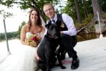 The Best Dog!