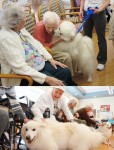 nursing home