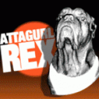 Attagurl Rex - Cover Band in Morgantown, West Virginia