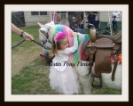 Nothing Like hugging a Unicorn to make your day perfect