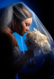 Award Winning Sunflowers Studios Photography