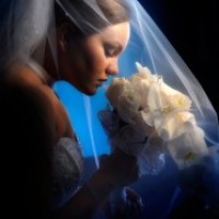 Award Winning Sunflowers Studios Photography - Wedding Photographer in Brooklyn, New York