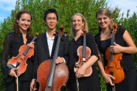 Azul Strings