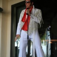 Blue Suede King - Sound-Alike in Tempe, Arizona