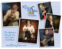 The Barry Sea Paradox - Cover Band in Mission, Texas