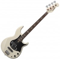 Bass Guitar Player For Hire - Solo Musicians in Jackson, New Jersey