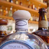Bay Area Bartenders - Bartender in Napa, California