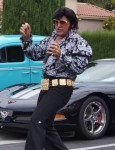 Puffy Floral Sleeve Bay Area Elvis Sing Telegrams Puffy Floral Sleeve Bay Area Elvis Sing Telegrams
